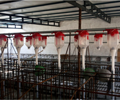 郑州养猪自动化料线